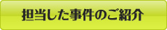 担当した事件のご紹介